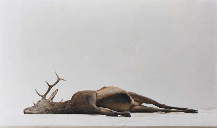 eric-poitevin-untitled-2007.jpg