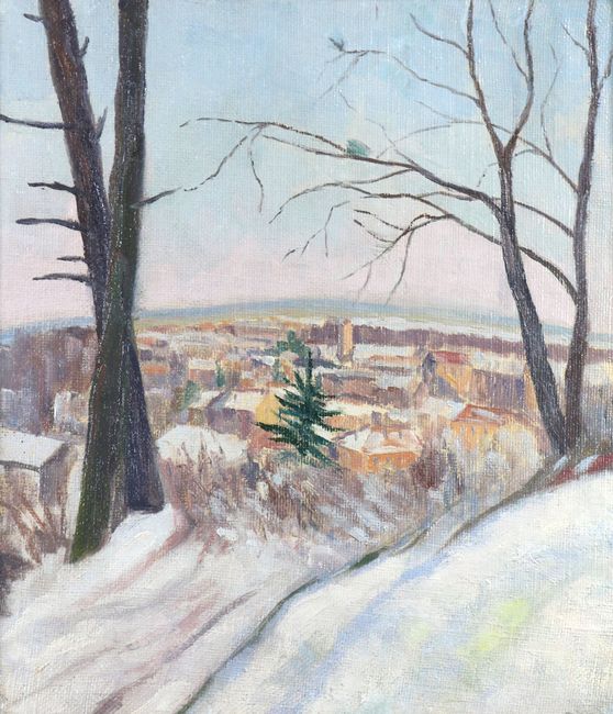 O_COUSTANS - Environs de Metz sous la neige.jpg