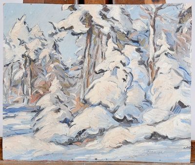 O_MONTEMONT - Paysage_d'hiver_dans_les_Vosges.jpg