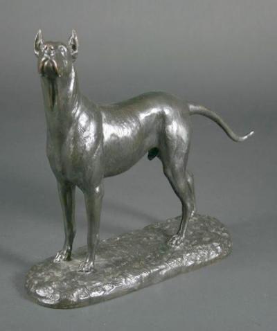O_GALLIARD - Bull-dog.jpg