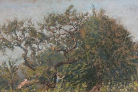 Ker-Xavier ROUSSEL       :    Le buisson