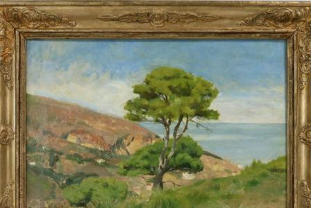 Jean Mathias SCHIFF       :  Paysage méditerranéen