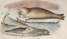 Jacques-Christophe WERNER (de)       